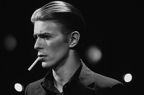 bowiefanoo