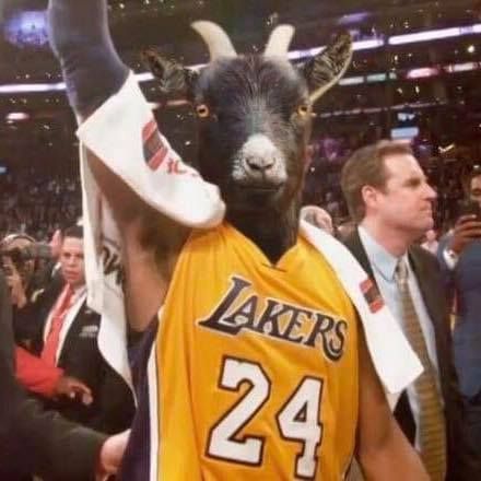 kobefan 8