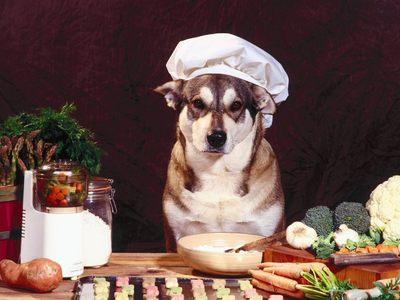 Profile picture of HuskyChef