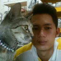 lofe 95