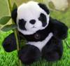 Profile picture of Panda_Day