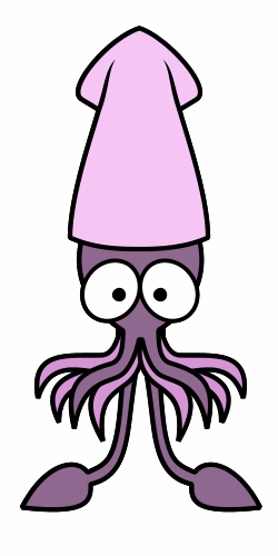 Apricot Squid