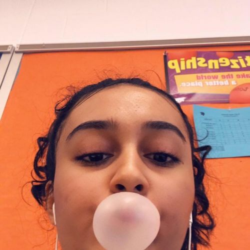 arijana 33