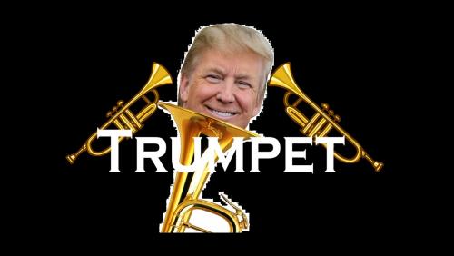 Profile picture of THE TRUMPET