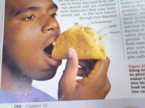 bongdong 420